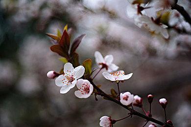 Sega公布《审判之逝：湮灭的记忆》中文试玩版 9月10日凌晨0点上线